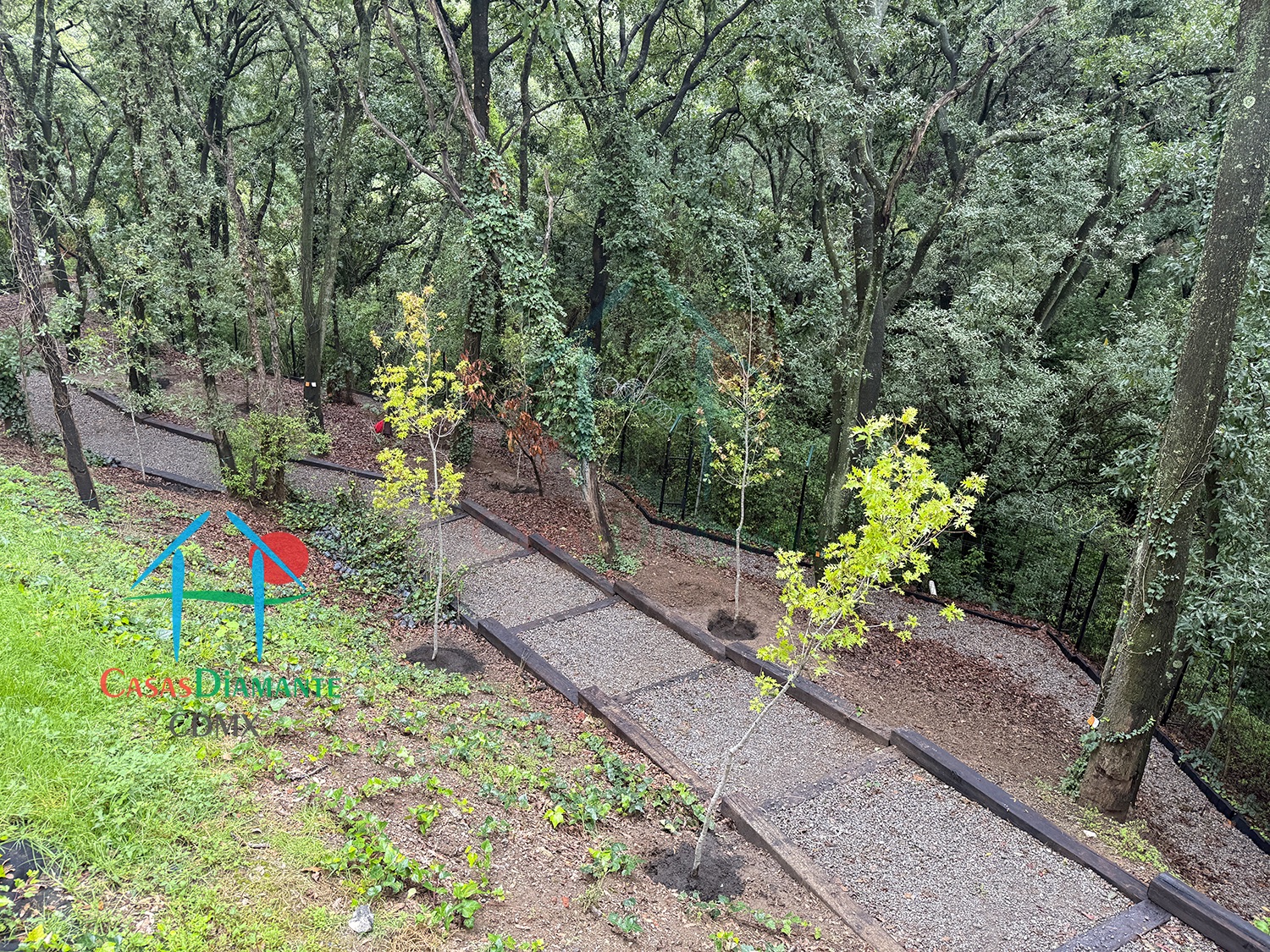 Acanto Ecos del Bosque - Jardines 3 Acanto Ecos del Bosque - Jardines 3